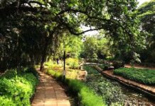 Nullah Parks of Pune