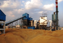 Large-scale Biomass Power Production in India Biomass_India