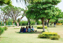 Adopt the Right Tree Planting Method to Ensure Biodiversity tree-shade