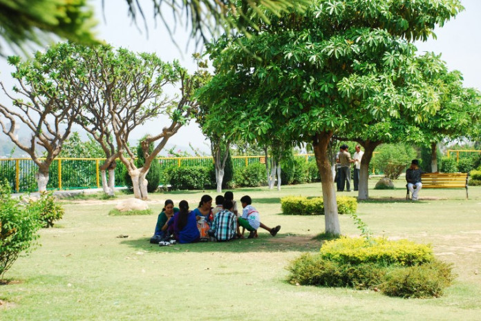 tree-shade