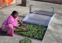 Solar Conduction Dryer – Boon for Dehydrating Farm Produce Solar-Conduction-Dryer-India