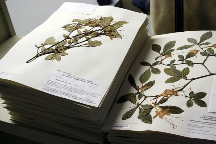Herbarium