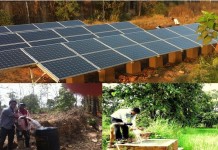 How Solar Power Can Revolutionize Indian Agriculture Ecozen Solutions