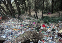 How to eliminate Tourist Trash – Go Sustainable Funning !!! toursit-litter