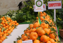 Sikkim Organic Mission Accomplished? Sikkim-Organic-Mission-2