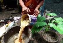 CSE Clean City Rankings Show Who’s Really Clean Eco-News-CSE-Clean-city-award