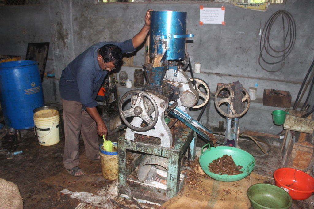 Biodiesel Extraction in India