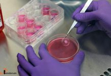 Eco-Friendly Medical Innovations Spark a Change Eco-Friendly-Medical-Innovation-Artificial-Liver-Tissue-2