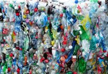Students Take Steps to Make Kota Plastic Free Eco-News-India-Students-Take-Steps-to-Make-Kota-Plastic-Free