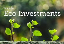 Eco Investments: Guide to Invest in Eco-friendly Companies Eco-Investments