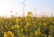 India beats US in Renewable Energy Attractiveness Index Green-Energy-India