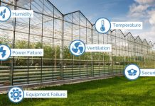 Can Greenhouse Automation Deliver Higher Farm Productivity?