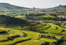 Gozo – A Sustainable Travel Destination to Experience Agritourism