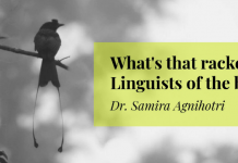 ‎Cafe Oikos hosts talk show on Linguistics of the Bird World