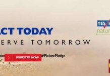 Yes Bank Natural Capital Awards for 2018 flagged off Ecarved doors