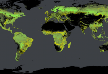 Some Eco-Friendly Weapons to Fight Against Global Warming Eco Ideaz