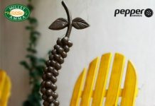 Millet Amma wins packaging honors at Pepper Awards 2019 Eco Ideaz
