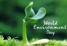 Events across India to observe World Environment Day 2019 Eco Ideaz