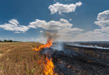 Precautions Against Air Pollution from Bushfires and Crop Burning Eco Ideaz
