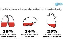 Less Environmental Pollution in India Means Better Disease Prevention Eco Ideaz