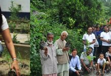 Sustainable Green Initiative To Plant Fruit Trees On Environment Day Eco Ideaz