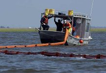 3 Simple Oil Spill Cleanup Methods You Did Not Know About Eco Ideaz