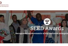 SEED Awards for Entrepreneurs in Sustainable Development are back for 2021 eco Ideaz