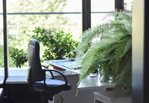 6 Benefits Of Natural Light For Your Home eco Ideaz