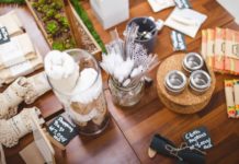 5 Green Business Ideas for Startup Entrepreneurs