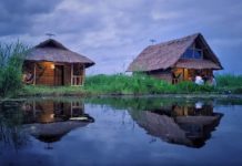 Loktak Lake fishermen access better livelihood with SNL Energy Solutions