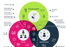 GetSmarter Sustainability Report Reveals Trends in Sustainable Businesses