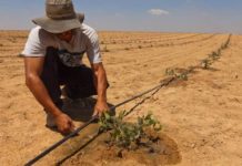 5 Solutions For Water Shortage Crises Across The Globe