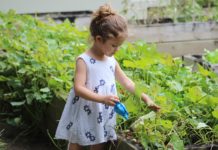 How to Cultivate Environmental Awareness in Children