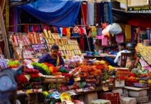 How Indigenous Women Are Integrating Sustainability in Their Businesses