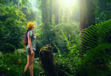 India to lead the Global Ecotourism Market with 15.7% growth