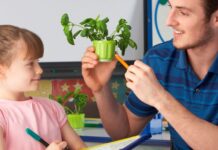 How Indoor Plants Improve Air Quality For School Classrooms