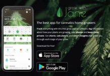 Internet Based Apps That Help You Grow Cannabis At Home