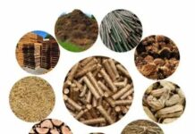 Biomass Pellet Making Machines can Mitigate the European Energy Crisis