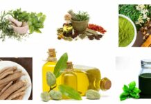 Evolving Trends in Organic Personal Care and Vegan Cosmetic Markets