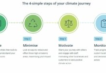 6 Major Steps To Take To Be A Carbon Neutral Business