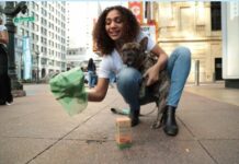 Are Your Dog Poop Bags Biodegradable?