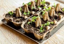 How To Make Your DIY Home Projects More Sustainable