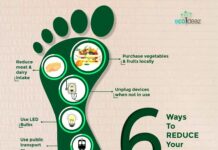 8 Steps to Bring in Corporate Environmental Responsibility