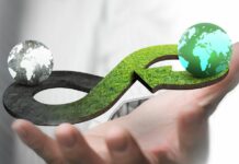 Green Innovation: Sustainability Through Outsourced Software Development