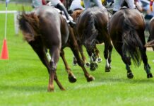 Is Horse Racing Harmful to the Environment?