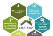 What are the Advantages of Green Roofing your Building?