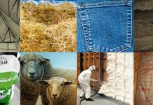 12 Cost Effective Green Building Materials and Sustainable Construction Ideas