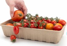 How to Reduce Your Environmental Footprint With Sustainable Packaging