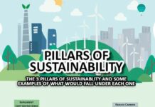 Shaping Sustainable Business Practices with Strategic Consulting