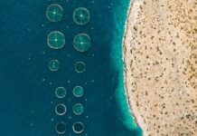 Sustainable Aquaculture Practices Can Meet Global Seafood Demand